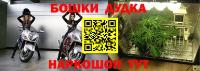 ГАЛЛЮЦИНОГЕННЫЕ ГРИБЫ Сланцы