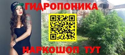 ГАЛЛЮЦИНОГЕННЫЕ ГРИБЫ Сланцы
