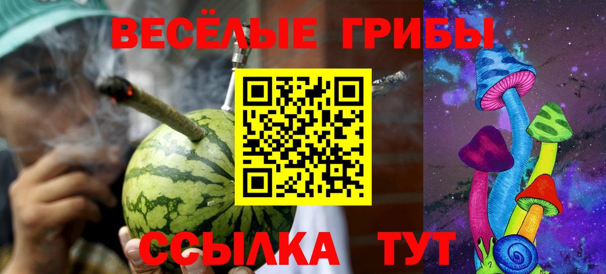 Пугачёв  Галлюциногенные грибы мицелий  Вход с VPN 