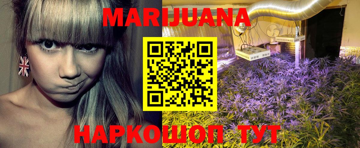 Пугачёв  Марихуана планчик  Шишки марихуана SATIVA & INDICA  Шишки марихуана THC 21%  Вход с VPN 